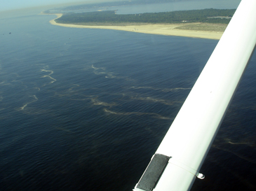 Aerial monitoring of algae