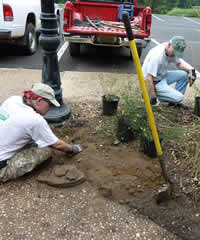 volunteers