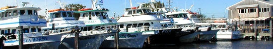 Atlantic Highlands Fleet