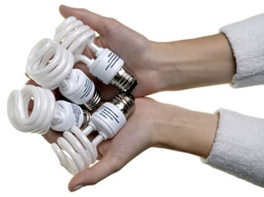 Person holding a handful of compact florescent lightbulbs
