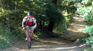 Woods Hollow Classic Bike Race