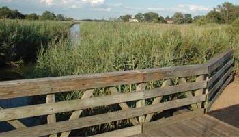 A Bayshore levee, Monmouth County