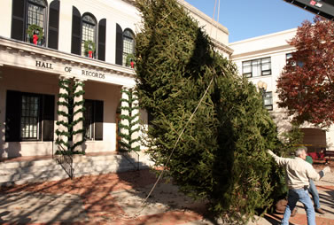 Christmas Tree