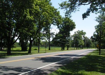 Dorbrook Recreational Fields