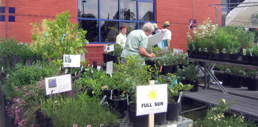 Master Gardener plant sale Master Gardener plant sale
